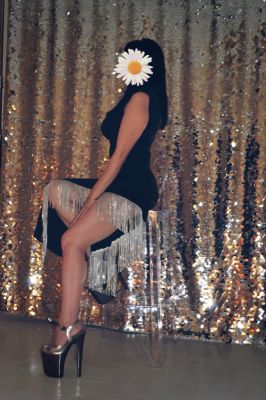 фото Ангелина 3 вида включе (инди)